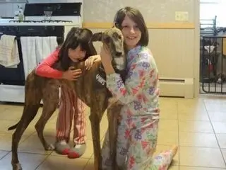 A woman and girl in pajamas petting a dog.