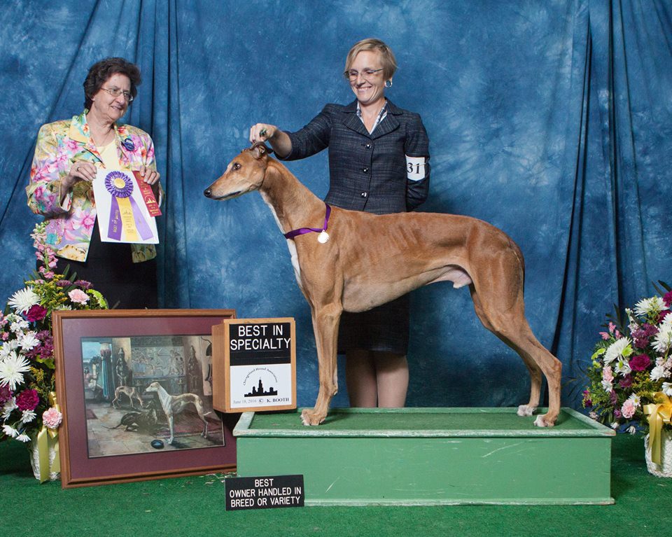 A woman and a dog are standing on the winners ' podium.