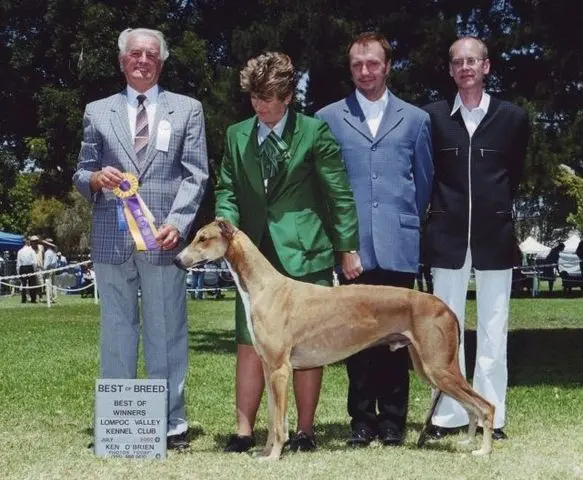 A group of people standing around a dog.