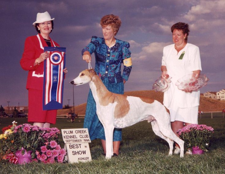 A group of women standing next to a dog.