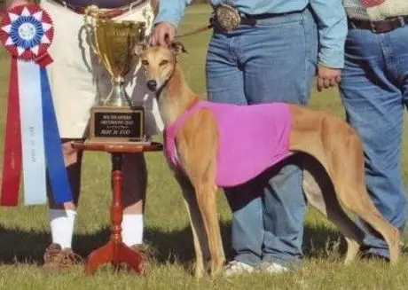 A dog standing next to a trophy in the grass.