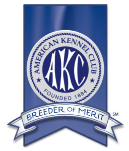 A blue banner with the american kennel club logo.