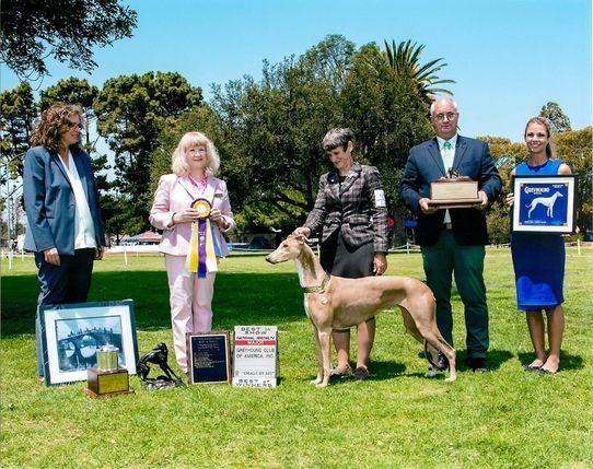 A group of people standing around a dog.