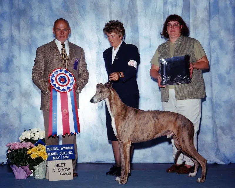 A group of people standing around a dog.