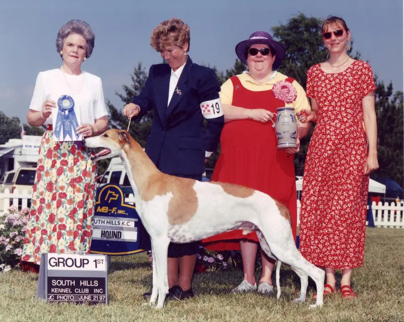 A group of women standing next to a dog.