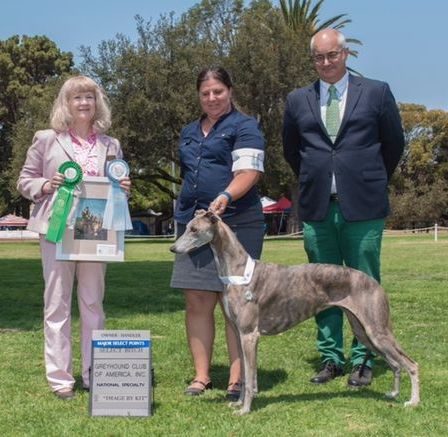 A group of people standing around with a dog.