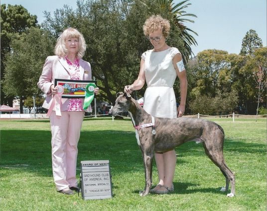 Two women and a dog are standing in the grass.