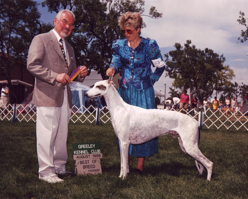 A man and woman standing next to a dog.