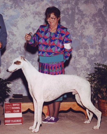 A woman standing next to a white dog.