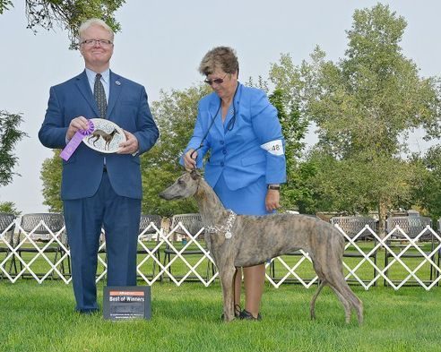 A man and woman standing next to a dog.